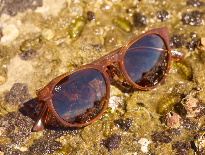 Tide Pools Sunglasses