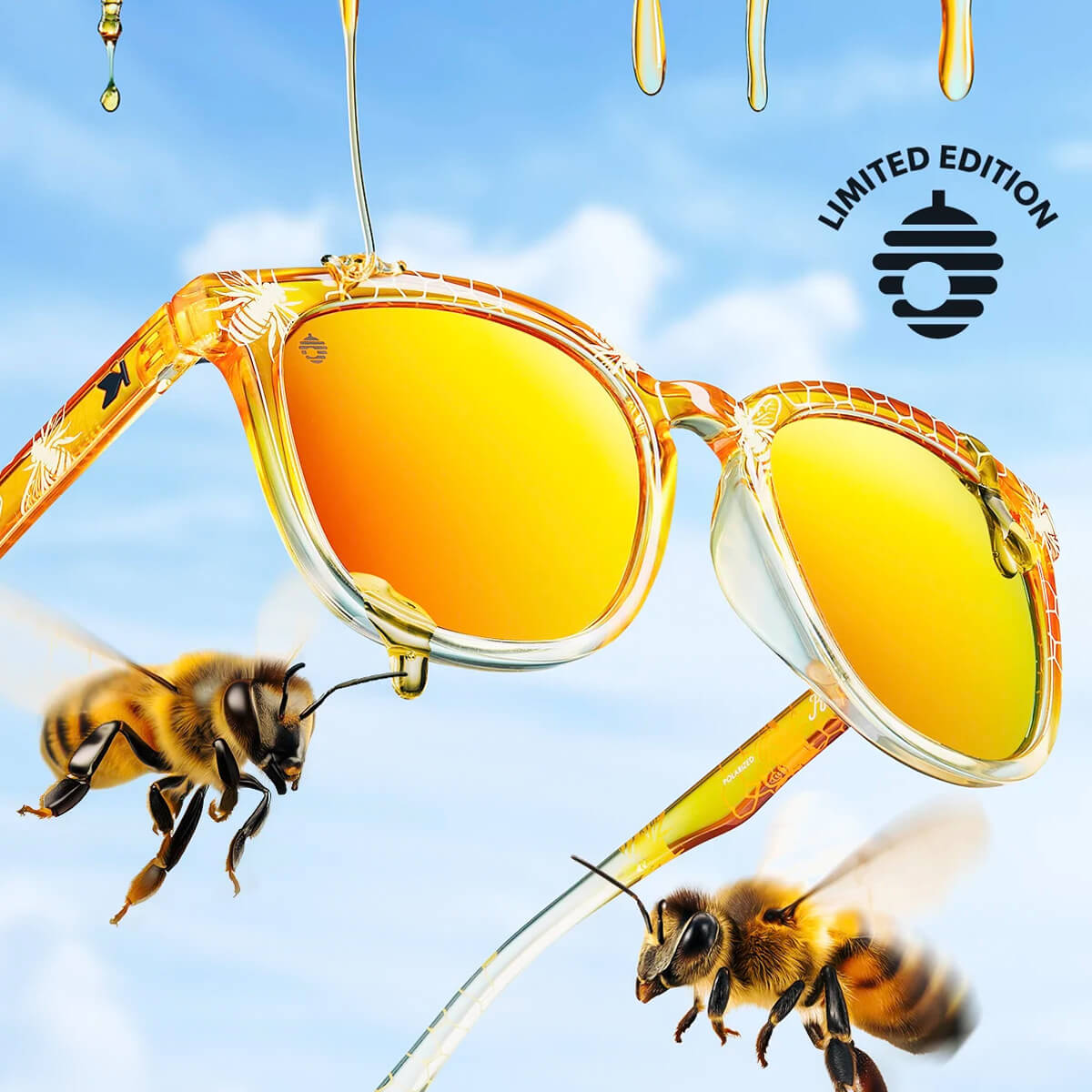 Limited Editions Hivemind Paso Robles Sunglasses