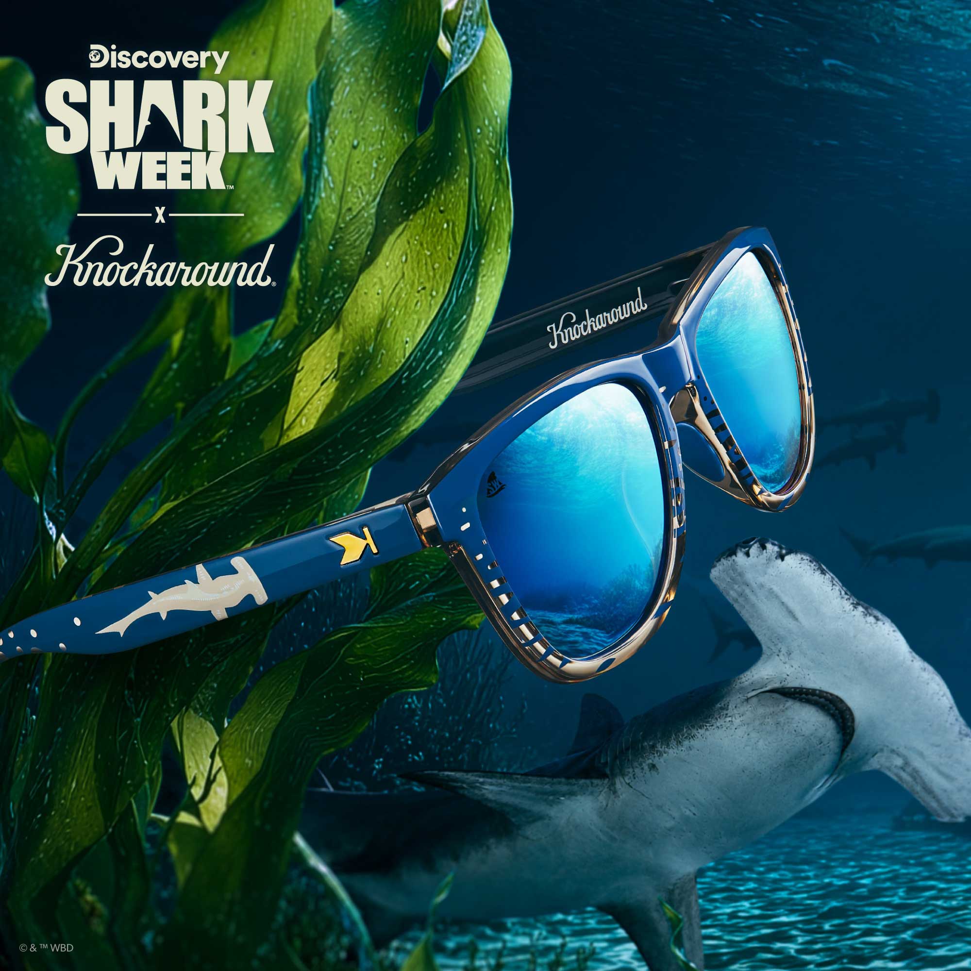 Knockaround x Shark Week Premiums Sport 2026 Sunglasses