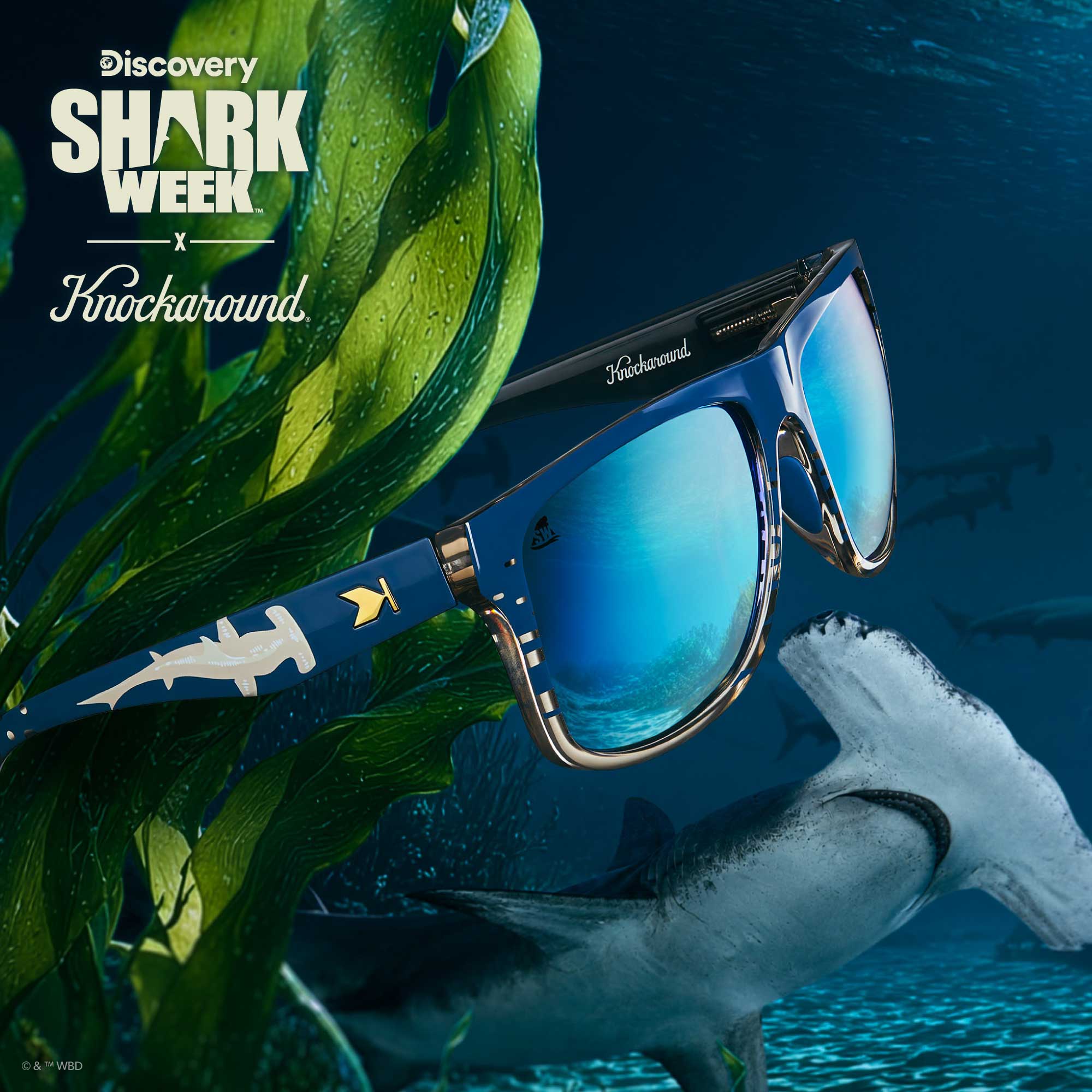 Knockaround x Shark Week Torrey Pines Sport 2026 Sunglasses