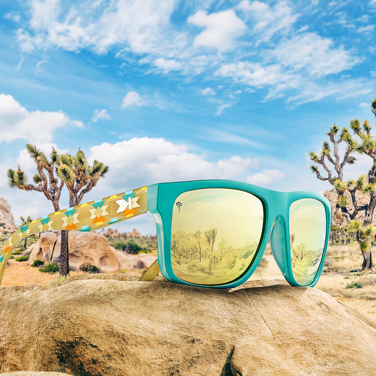 Limited Editions Joshua Tree Torrey Pines Sunglasses