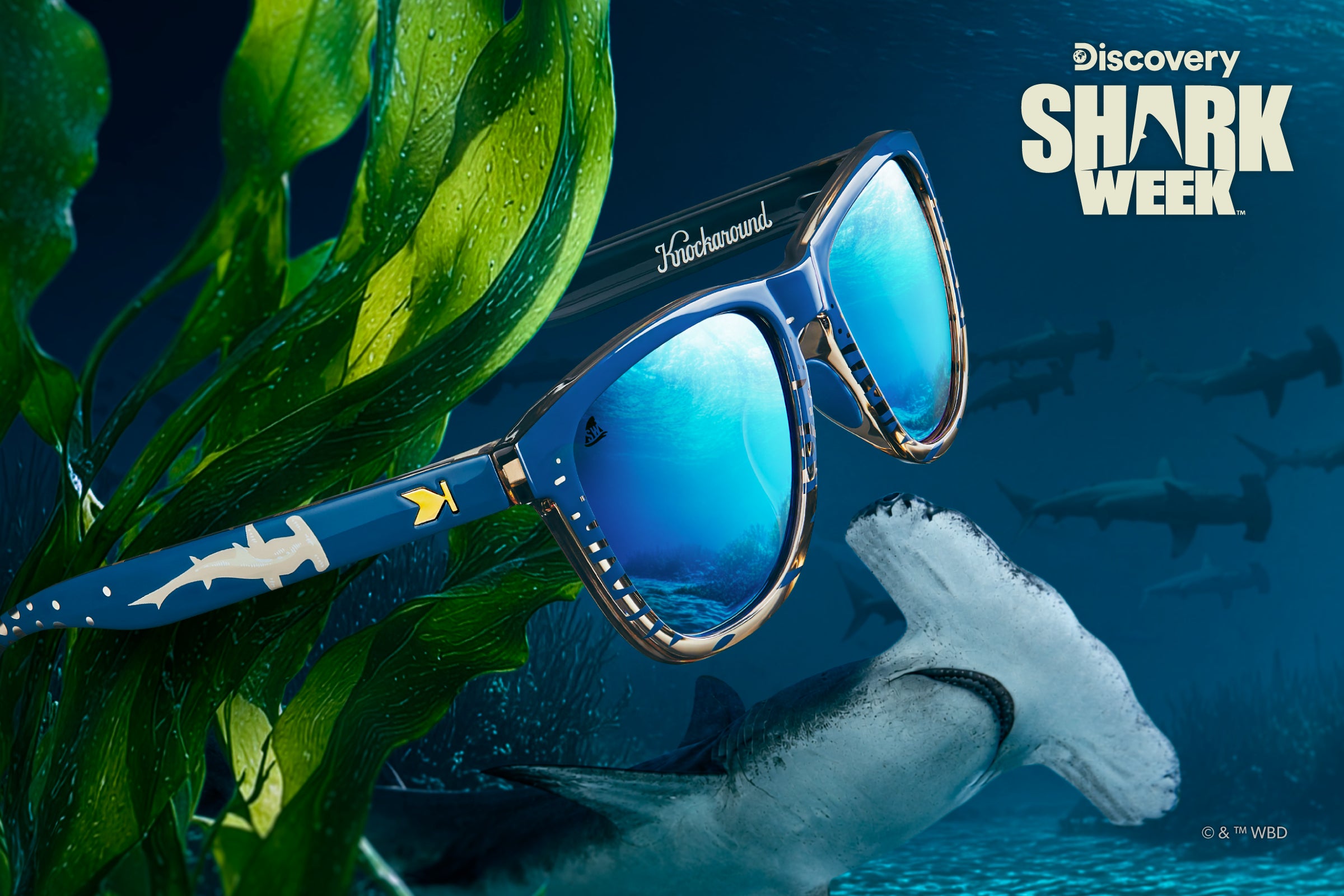 Knockaround x Discovery Channel Shark Week Sunglasses