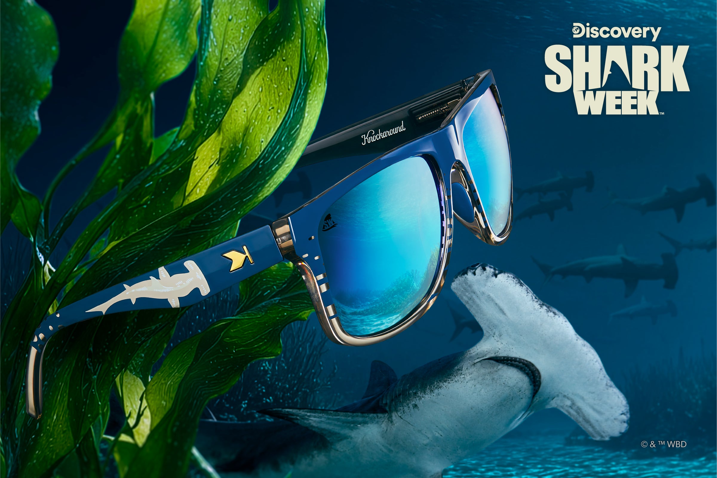 Knockaround x Discovery Channel Shark Week Sunglasses