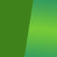 Runner's High / Green Moonshine
