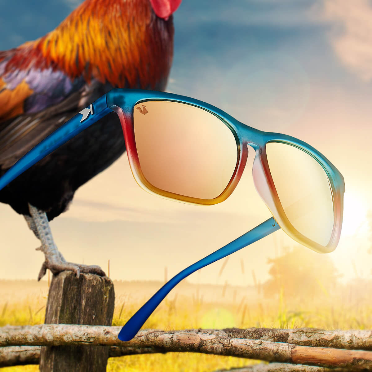Limited Editions Up and  At'Em Fast Lanes Sunglasses