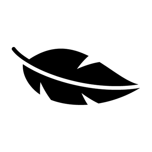 Lightweight frame icon
