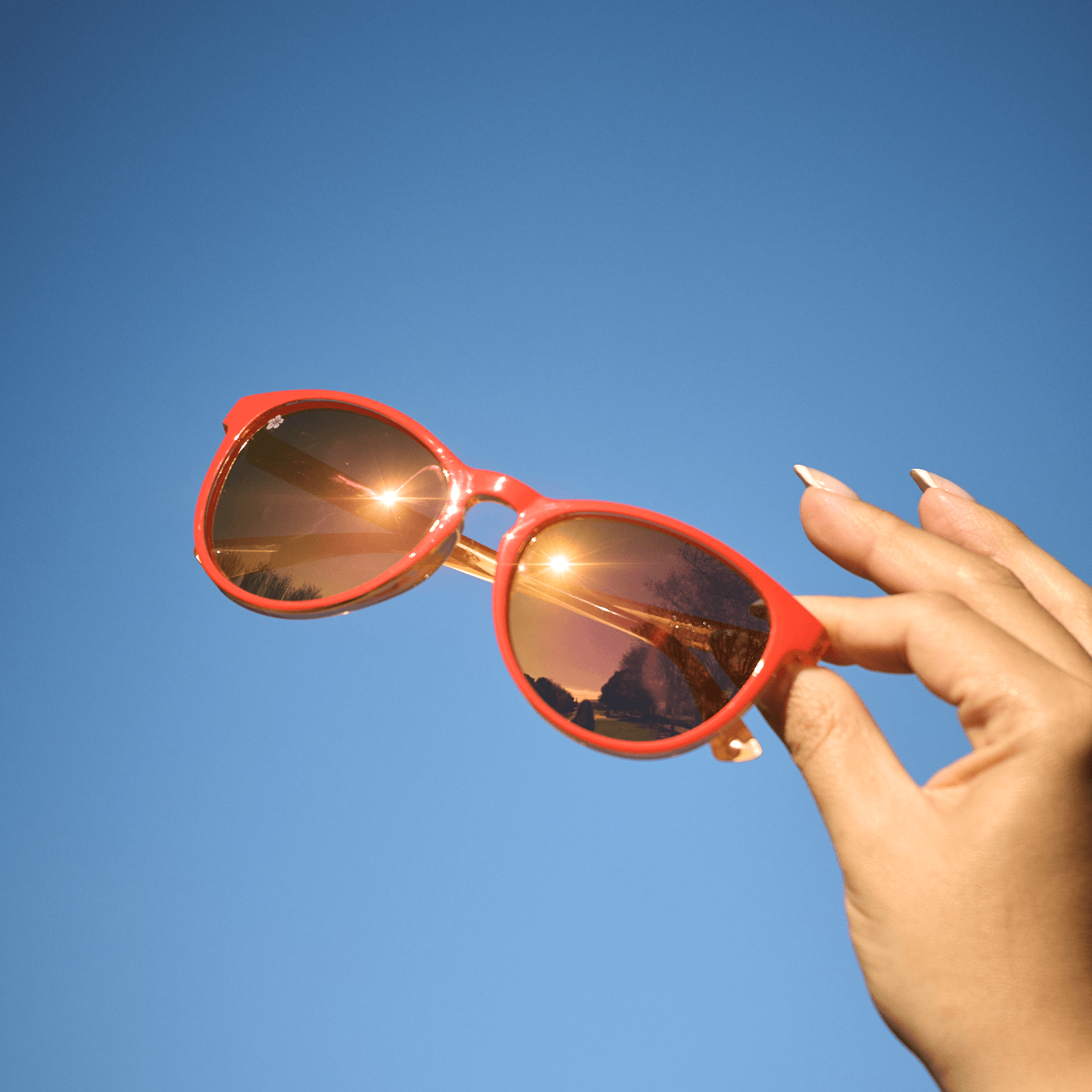 Lifestyle photo of Hibiscus Mai Tais Sunglasses