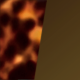 Cypress Tortoise Shell / Amber