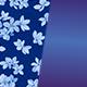 Hydrangea / Moonshine
