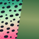 Rainbow Trout / Olive Green
