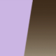 Purple / Amber Gradient